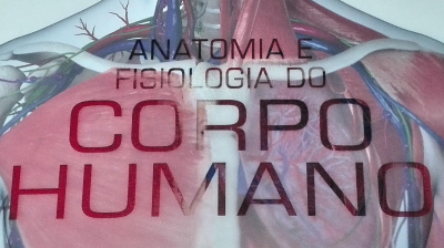 CBA - Curso de Conceitos Básicos de Anatomia, Fisiologia e Cinesiologia